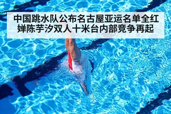 synchronized diving competition